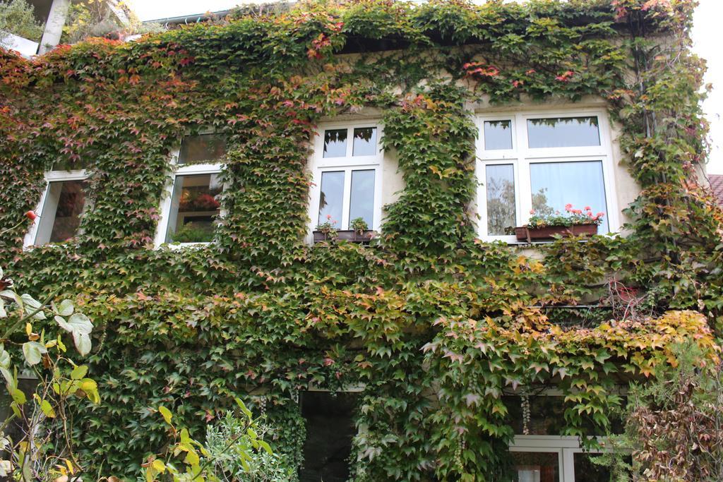 Hotel Wiener Kindl Esterno foto